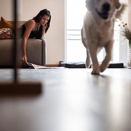 לאנה Sambucus Apartments -Premium Apartments For You And Your Dog מראה חיצוני תמונה