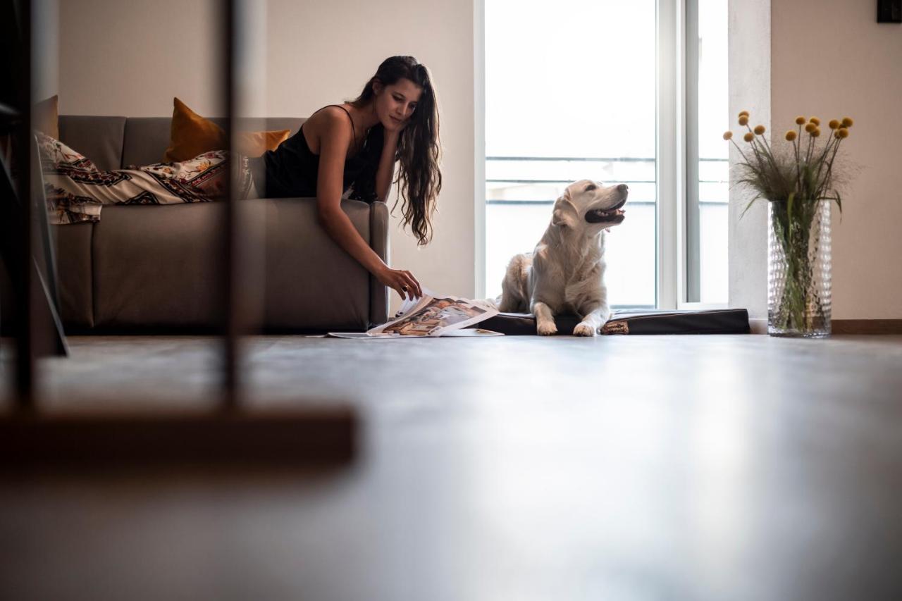 לאנה Sambucus Apartments -Premium Apartments For You And Your Dog מראה חיצוני תמונה